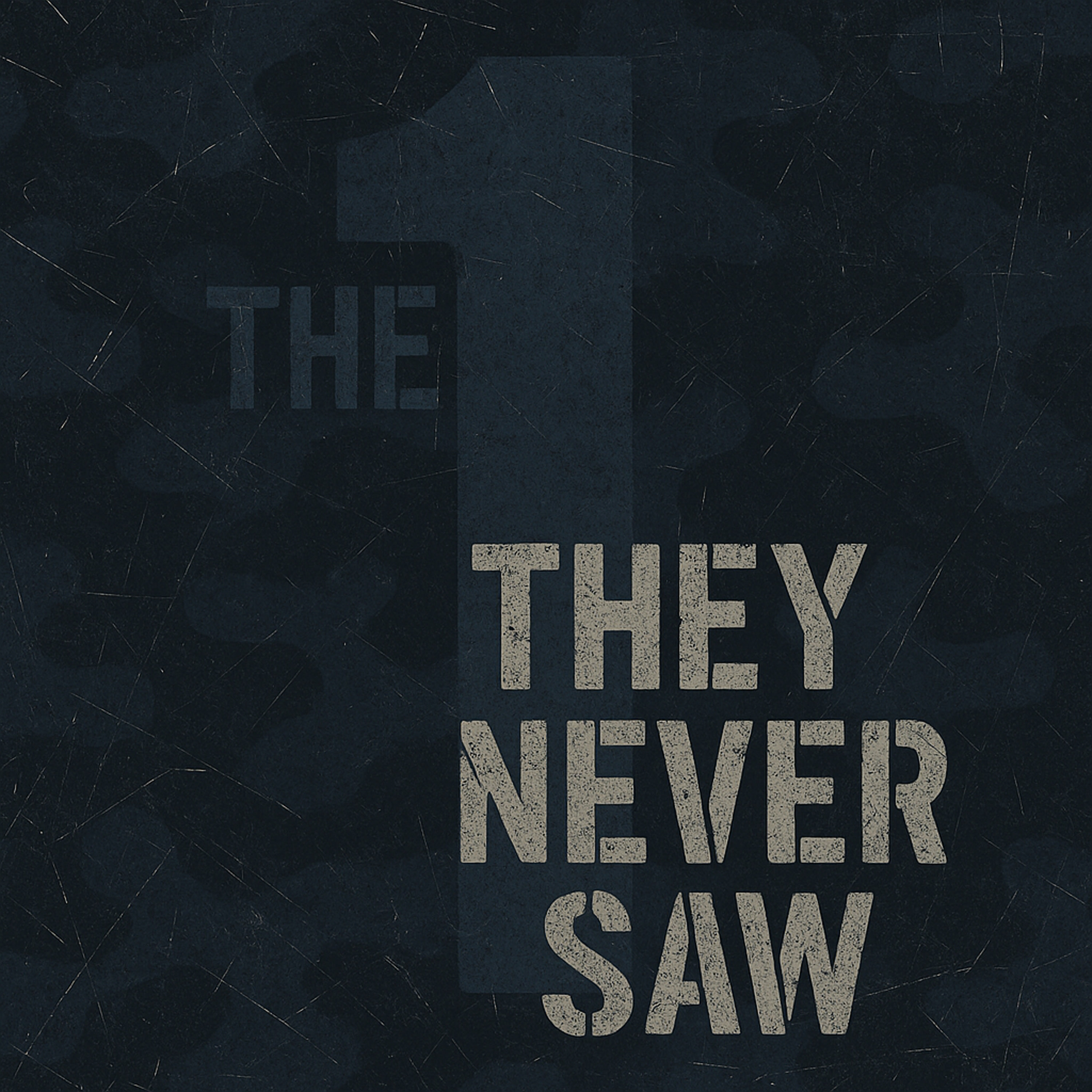 The One They Never Saw cover art